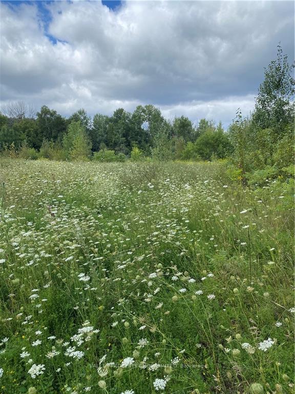 00 JEAN Avenue, Laurentian Valley, ON K8A 5H9